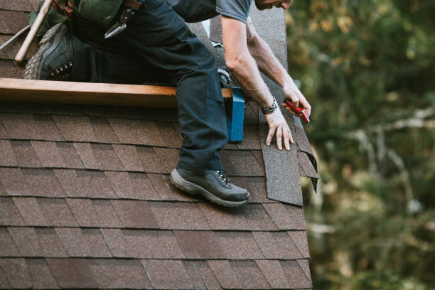 Best Sealant for Roof  in Burbank, WA